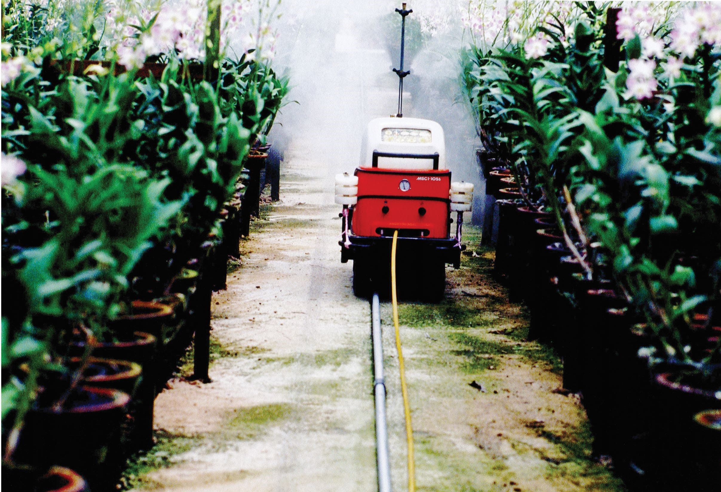 A watering machine traverses the greenhouse aisles at Toh Orchids. Courtesy of Ministry of Information, Communications and the Arts, Singapore.